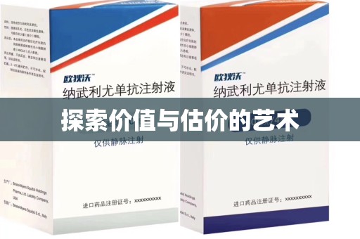中山探索价值与估价的艺术