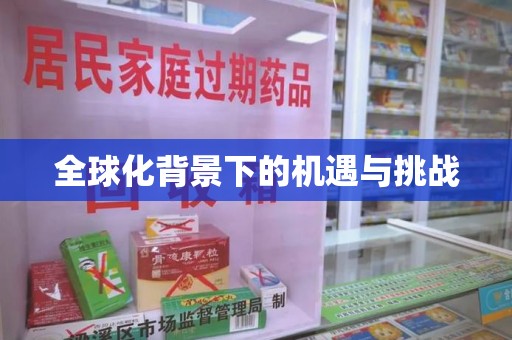 中山全球化背景下的机遇与挑战