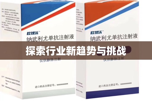 中山探索行业新趋势与挑战