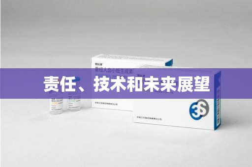 中山责任、技术和未来展望