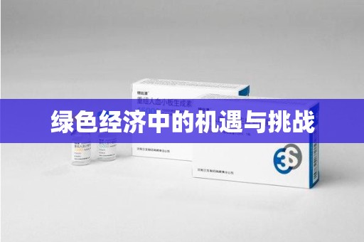 中山绿色经济中的机遇与挑战