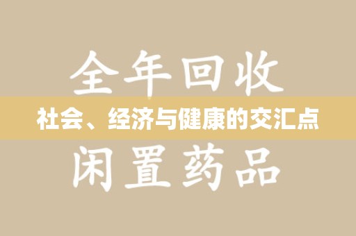 中山社会、经济与健康的交汇点