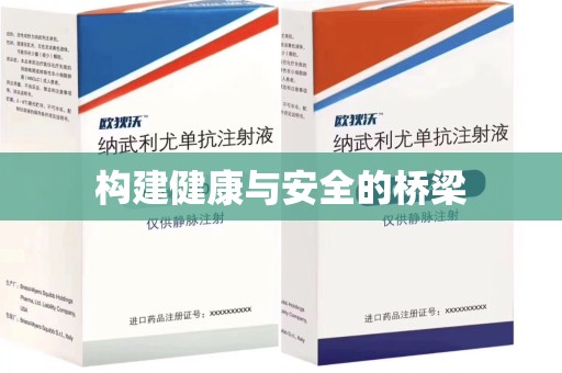 中山构建健康与安全的桥梁