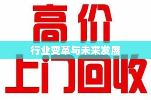 中山行业变革与未来发展
