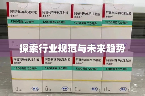 中山探索行业规范与未来趋势
