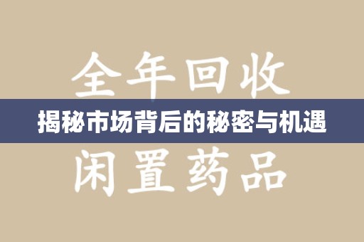 中山揭秘市场背后的秘密与机遇