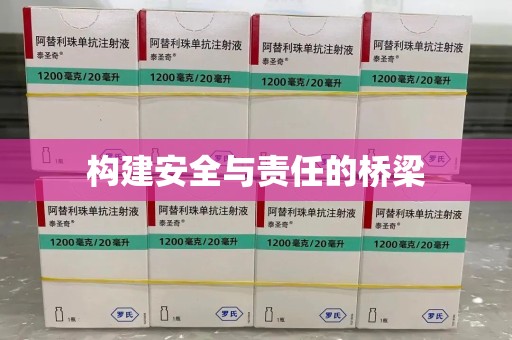 中山构建安全与责任的桥梁