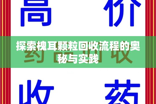 中山探索槐耳颗粒回收流程的奥秘与实践