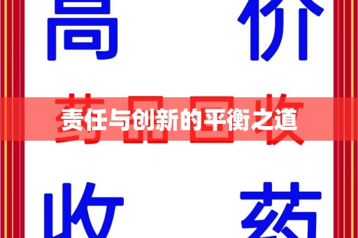 中山责任与创新的平衡之道
