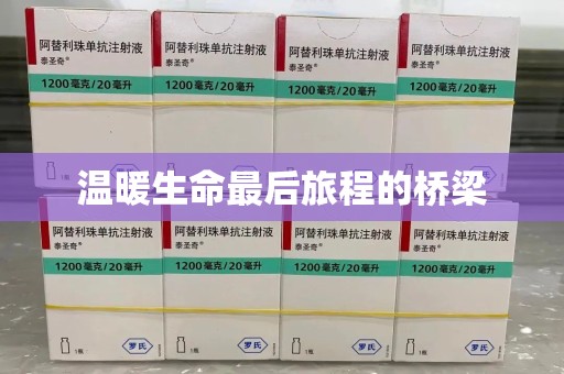 中山温暖生命最后旅程的桥梁