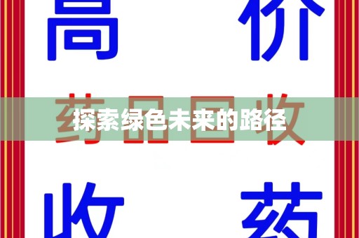 中山探索绿色未来的路径