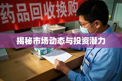 中山揭秘市场动态与投资潜力