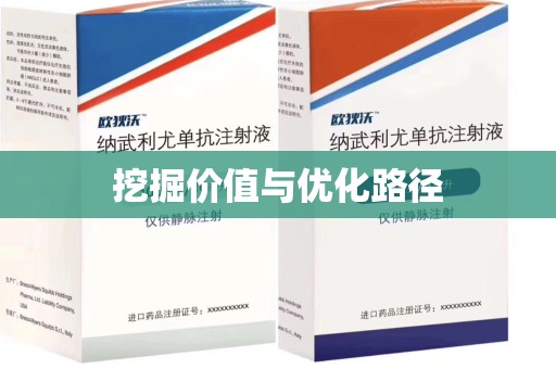 中山挖掘价值与优化路径